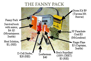 fannypack